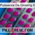 Ginseng Power X 10